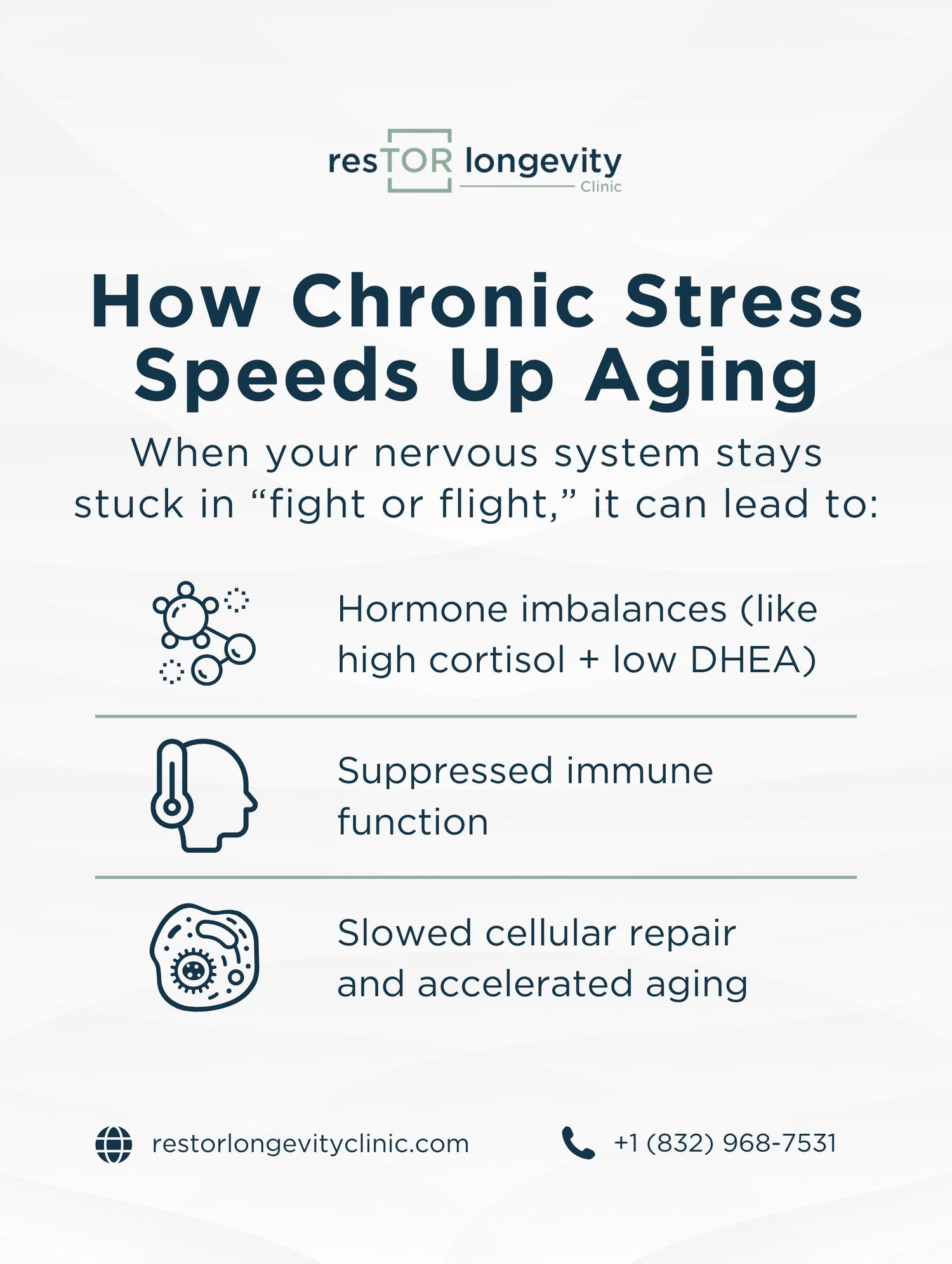 The Anti-Aging Power of a Regulated Nervous System