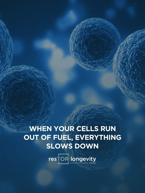 When Your Cells Run Out of Fuel, Everything Slows Down | resTOR Longevity