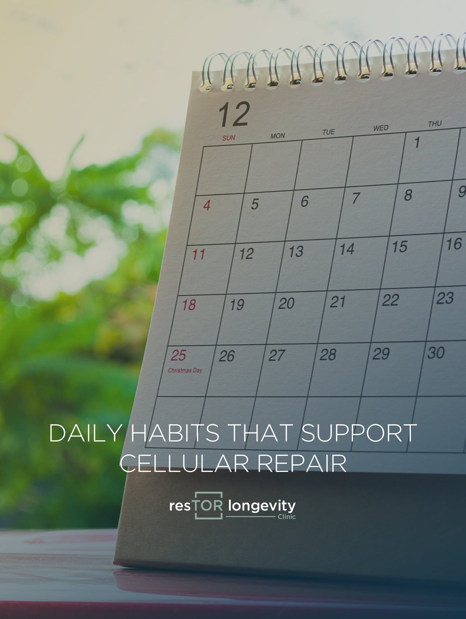 Daily Habits That Support Cellular Repair for Longevity