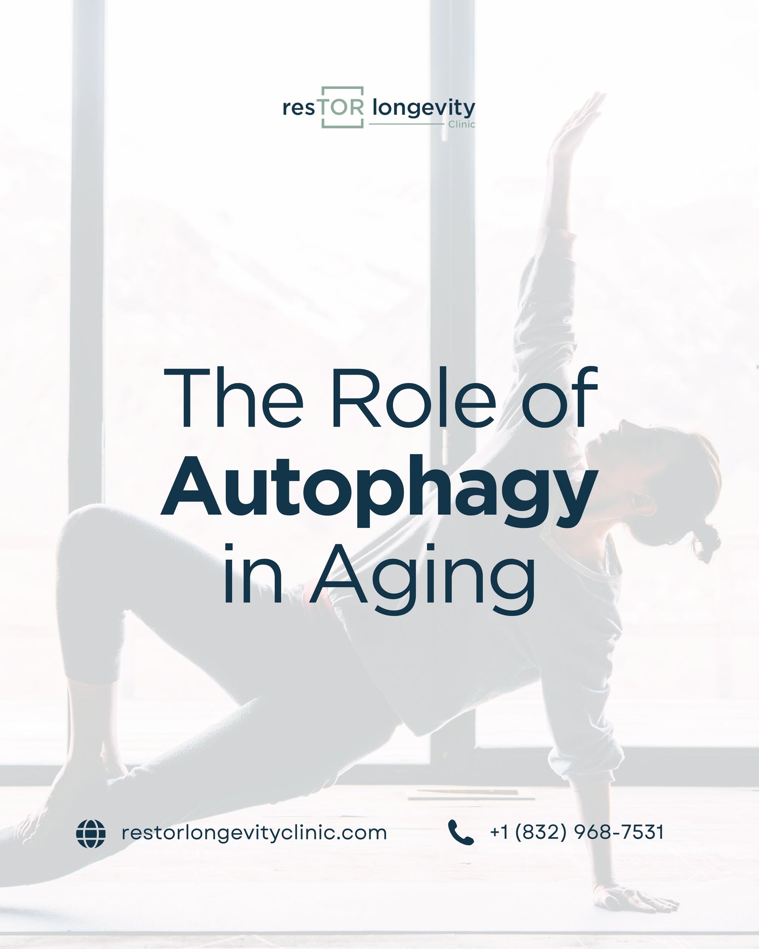 The Role of Autophagy in Aging