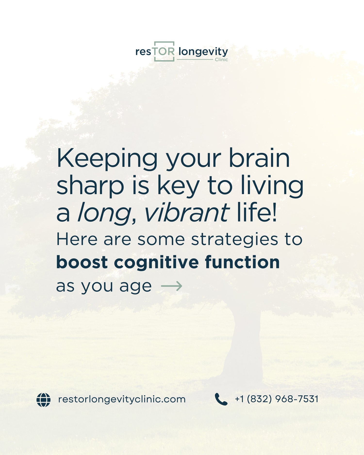 Boosting Cognitive Function for a Longer Life