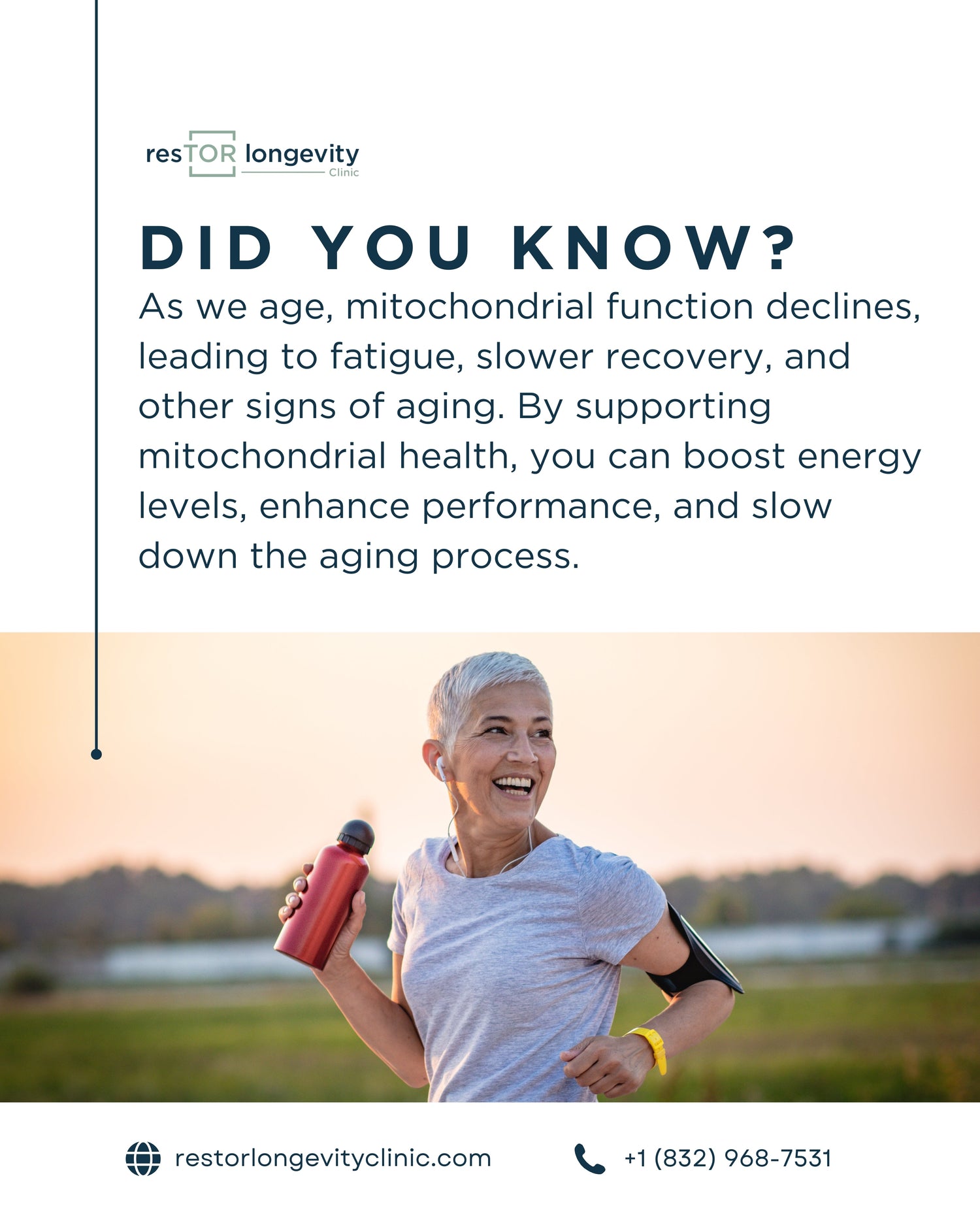 Mitochondria: The Key to Unlocking Vitality