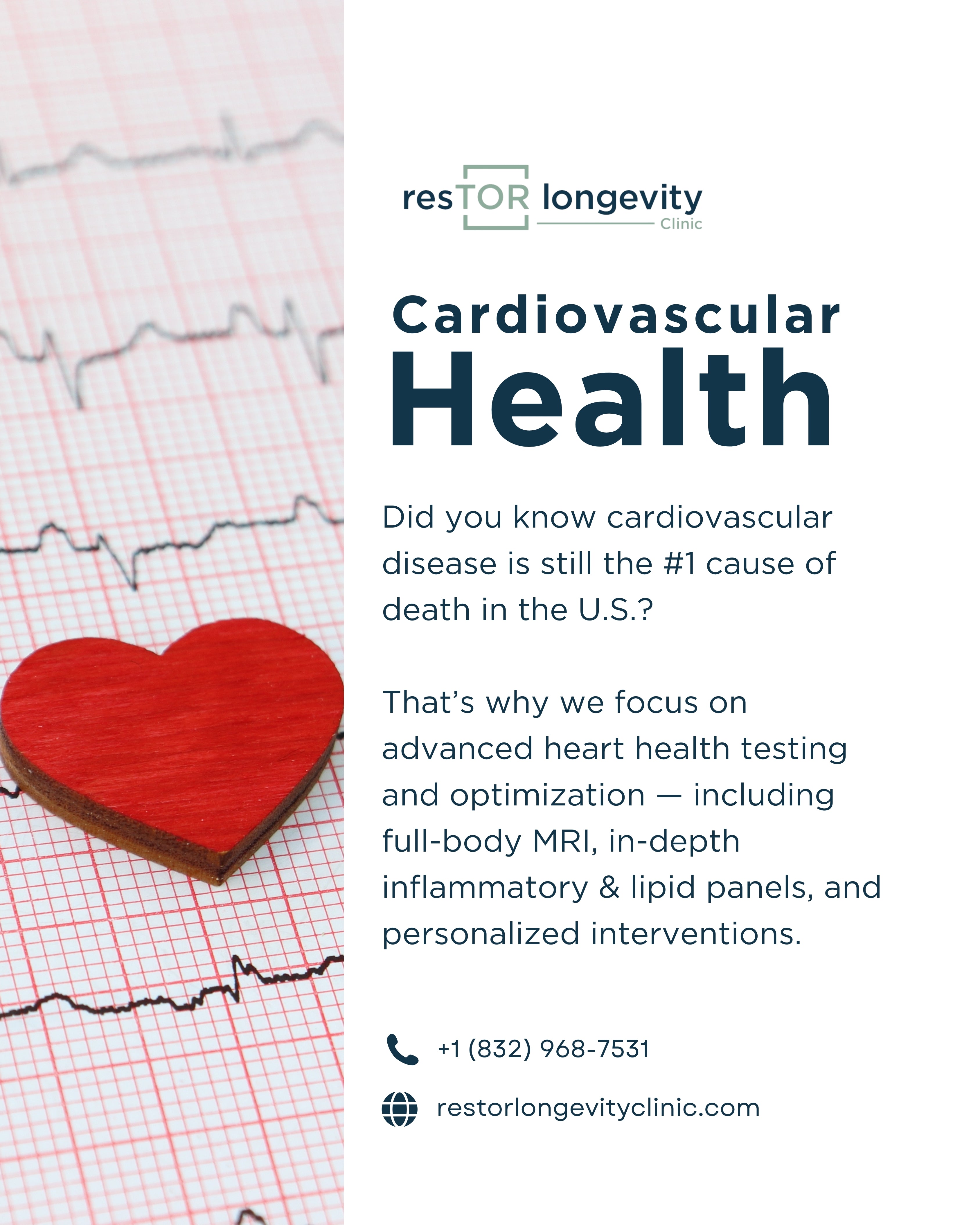 Advanced cardiovascular testing supporting preventive heart health at resTOR Longevity Clinic in Houston