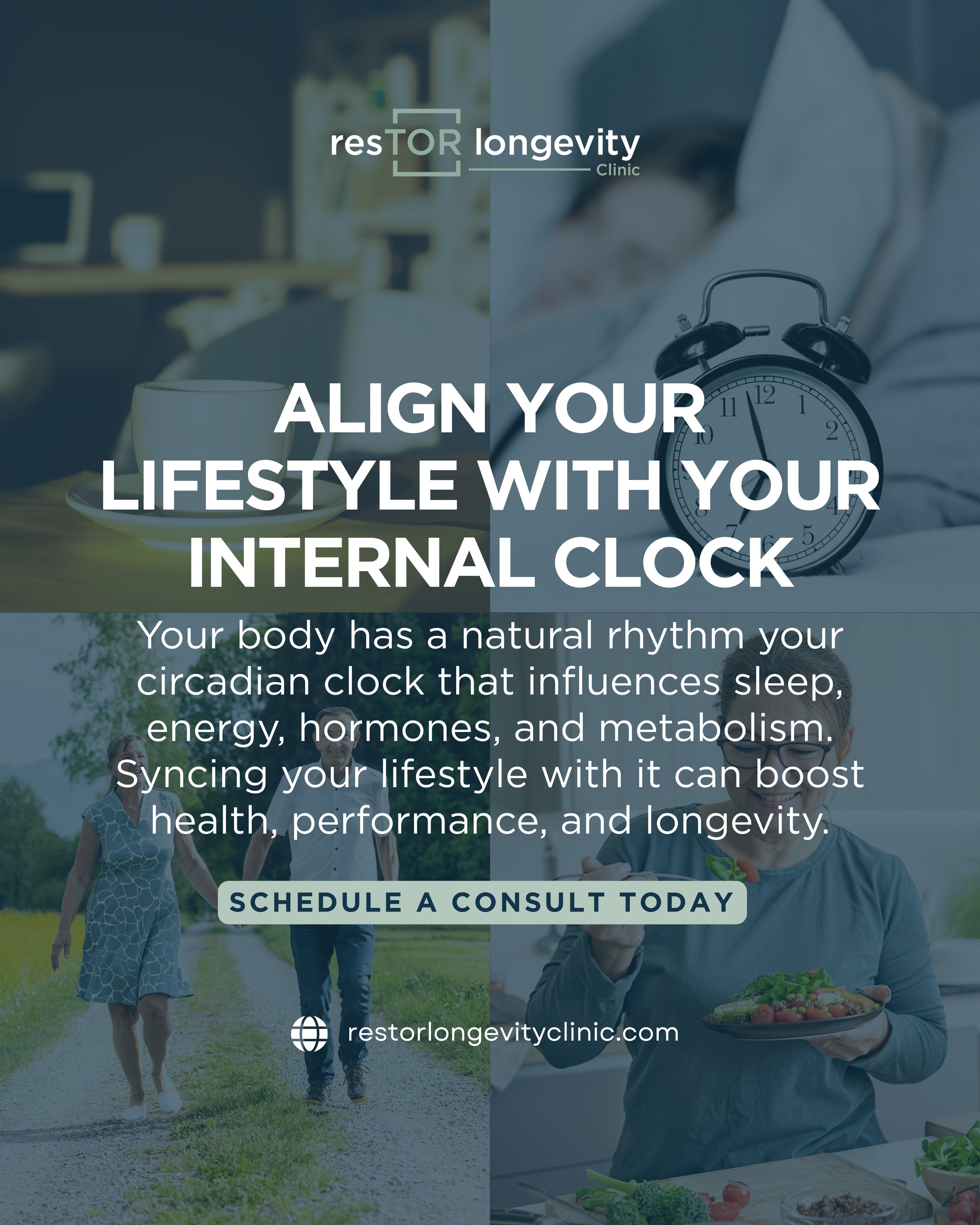 resTOR Longevity Clinic graphic about circadian rhythm, sleep, energy, metabolism, hormones, and longevity in Houston.