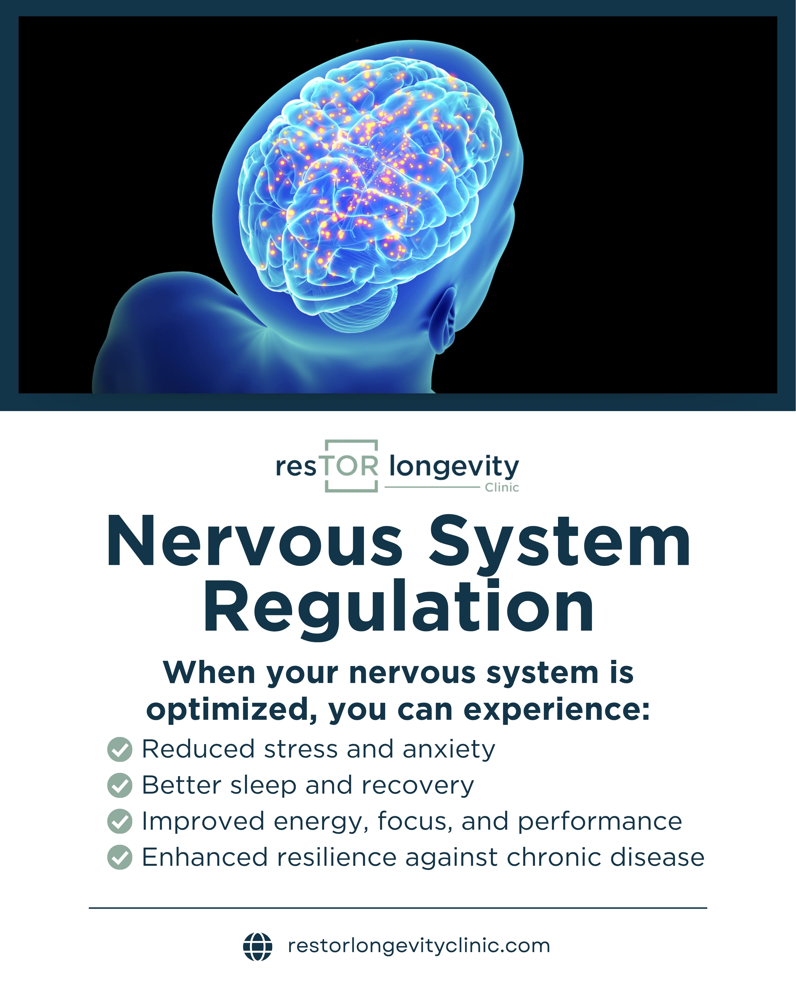 Nervous System Regulation for Stress Houston TX
