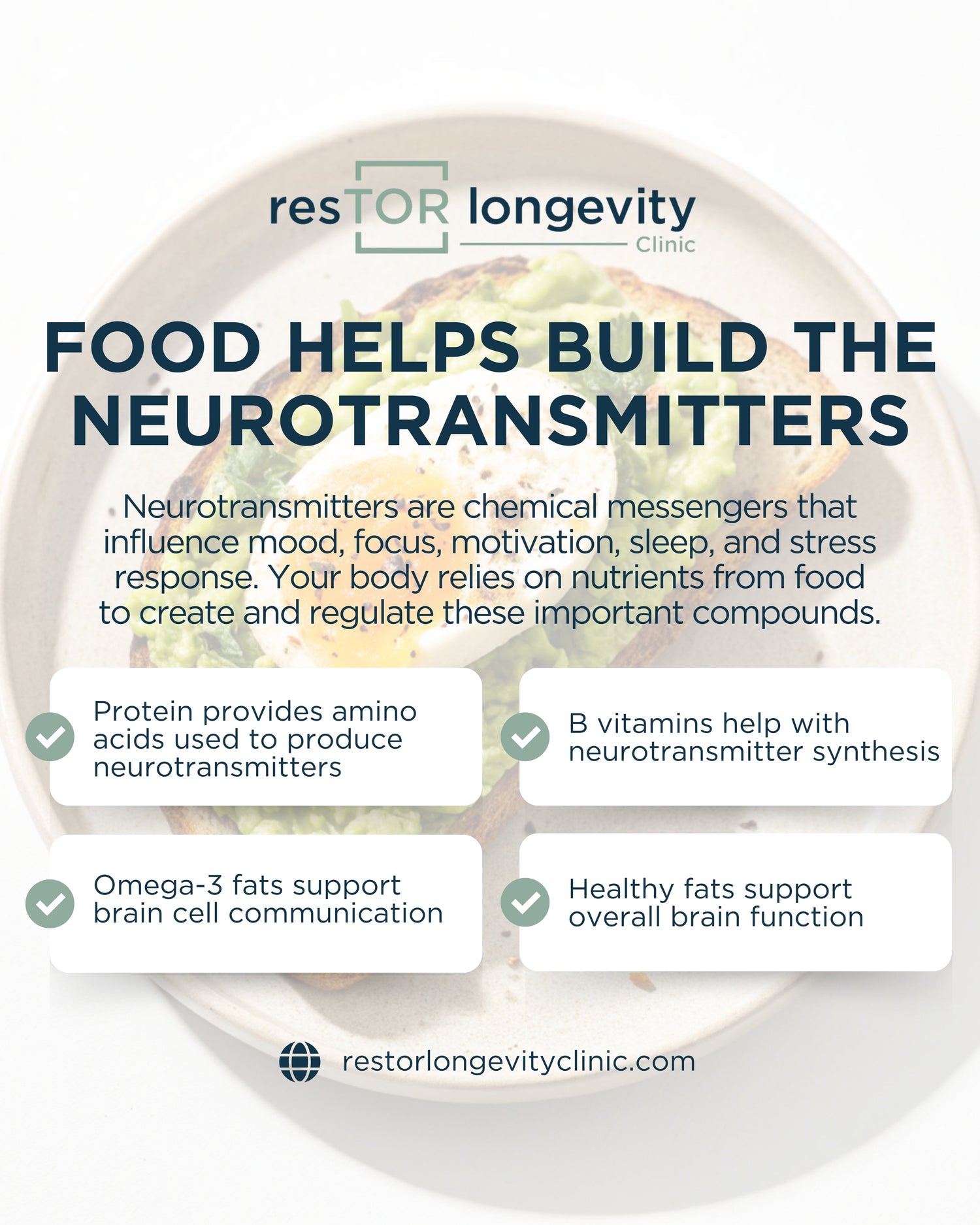 Food and nutrients that support neurotransmitter production, brain health, mood, focus, sleep, and healthy aging at resTOR Longevity Clinic in Houston, TX.