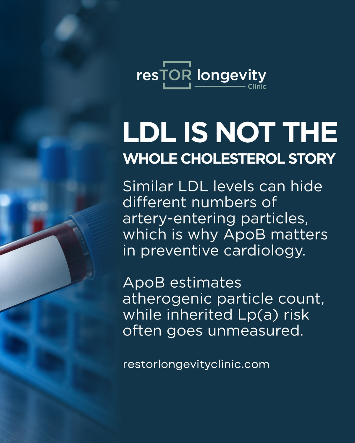A physician comparing LDL cholesterol, ApoB particle count, and lipoprotein(a) on a cardiovascular risk dashboard.