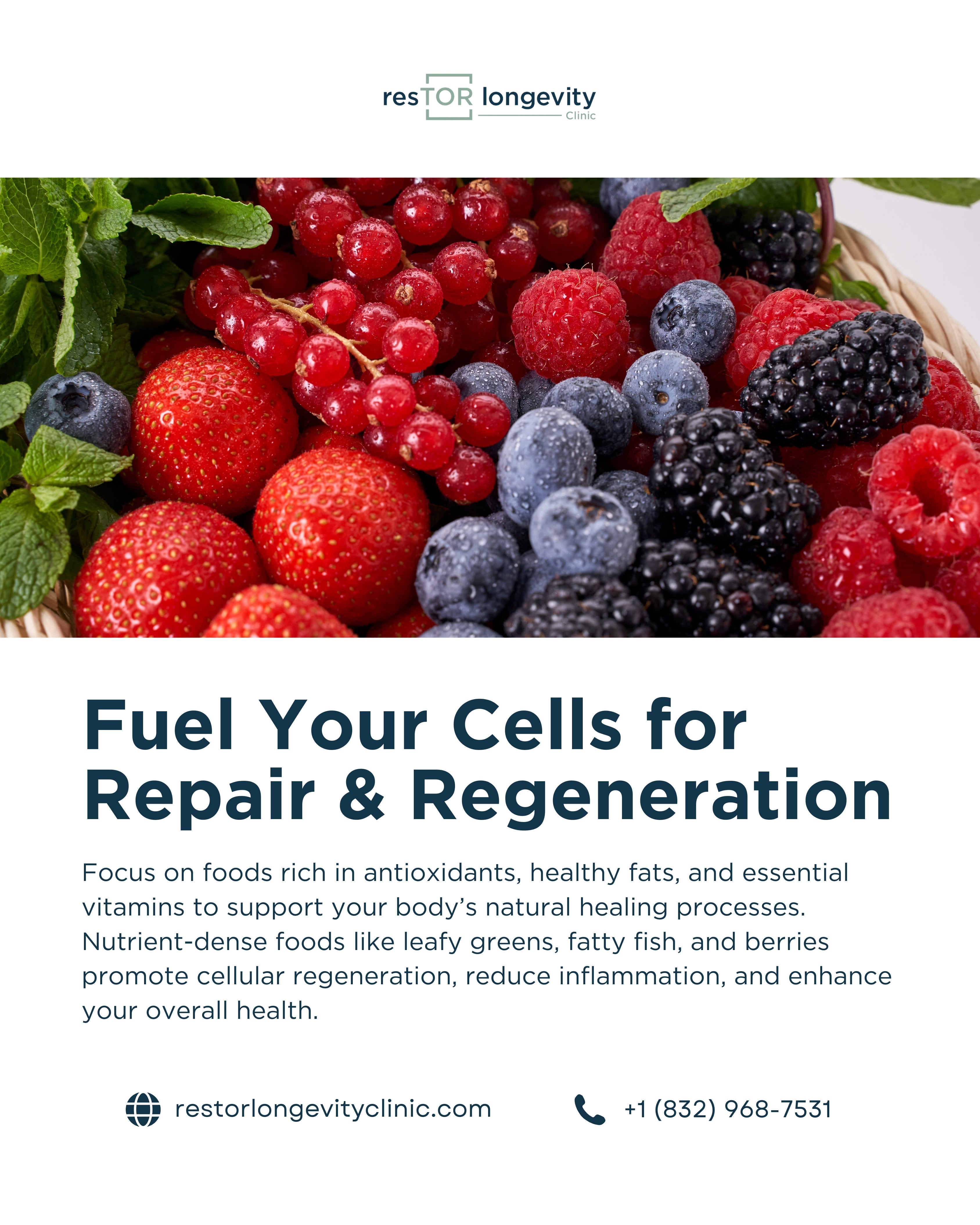 Cellular Health – Fuel Your Cells for Repair