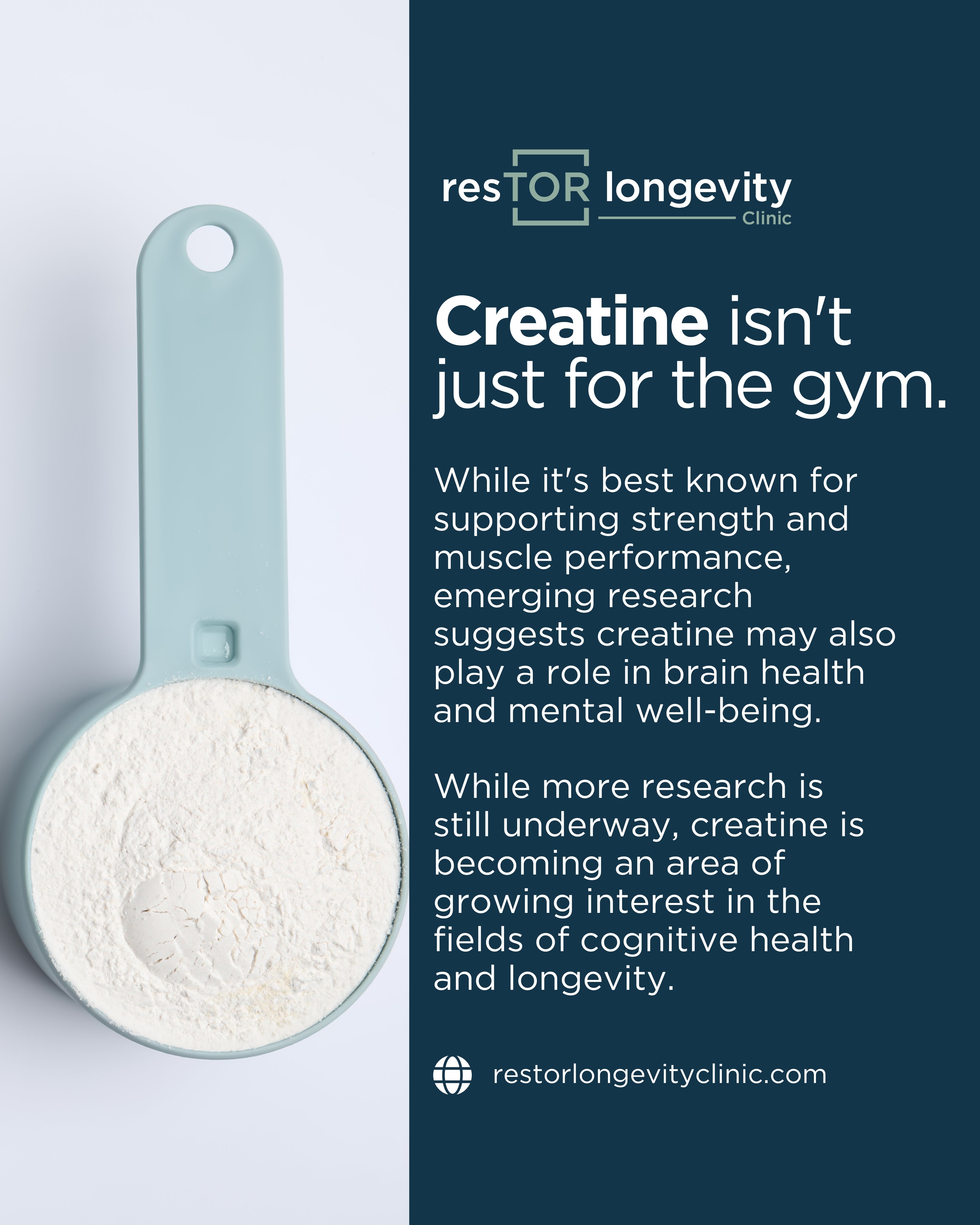 Creatine and Brain Health in Houston, TX