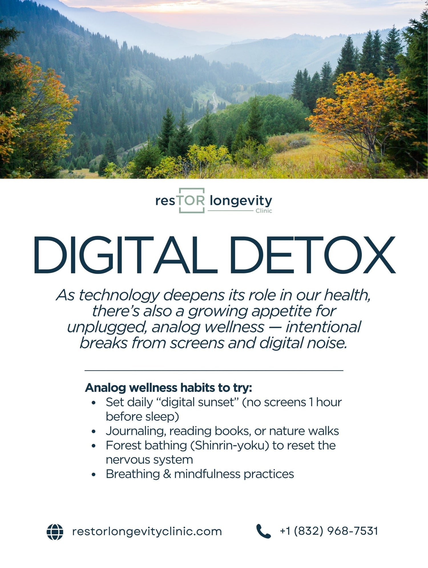 Digital detox and analog wellness habits from resTOR Longevity Clinic in Houston, Texas. Flyer with scenic forest and mountain view