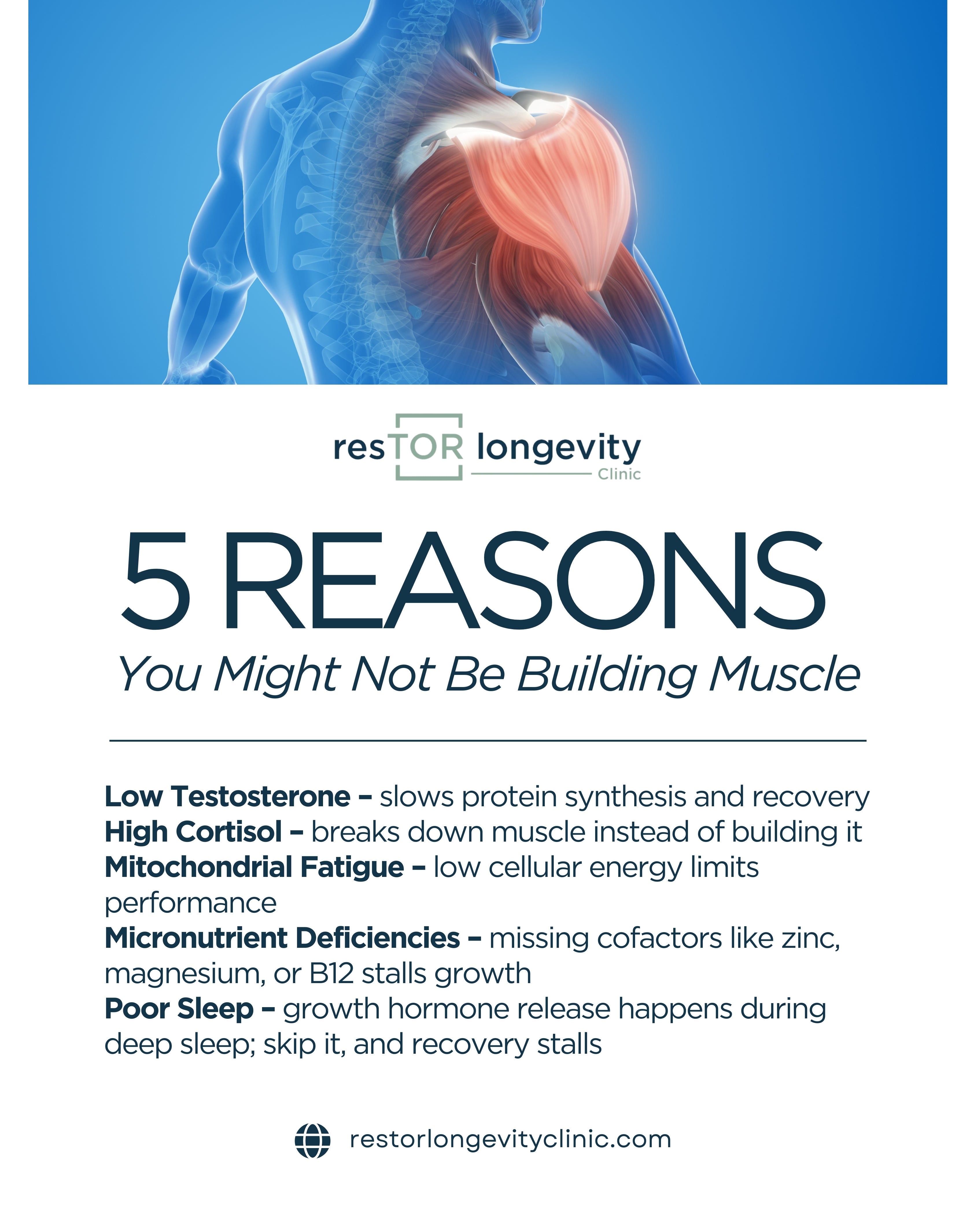 Graphic of 5 reasons for stalled muscle growth with Dr. Gregory Burzynski at resTOR Longevity Clinic Houston