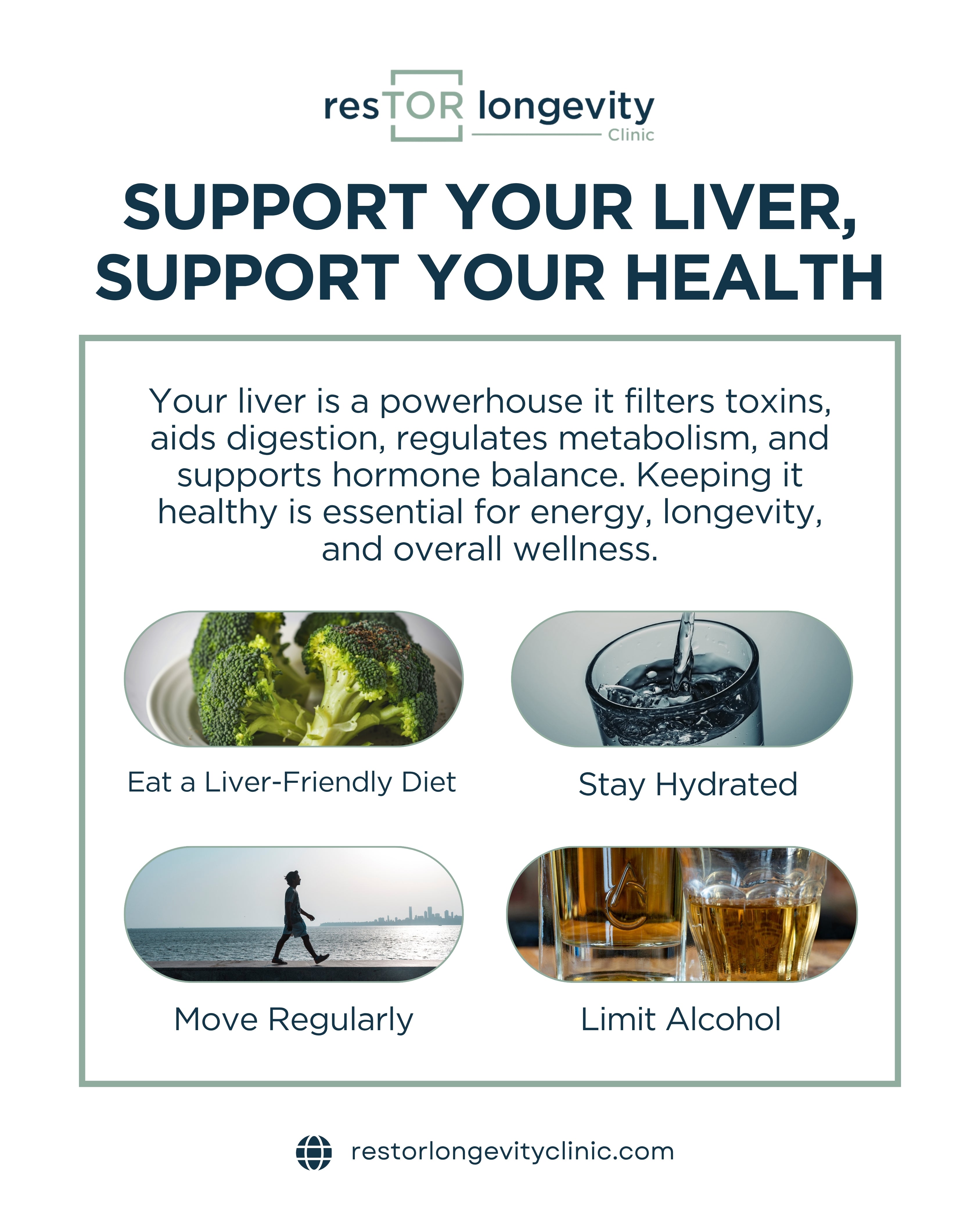 resTOR Longevity Clinic graphic about liver health, hydration, movement, metabolism, hormone balance, and longevity support in Houston.