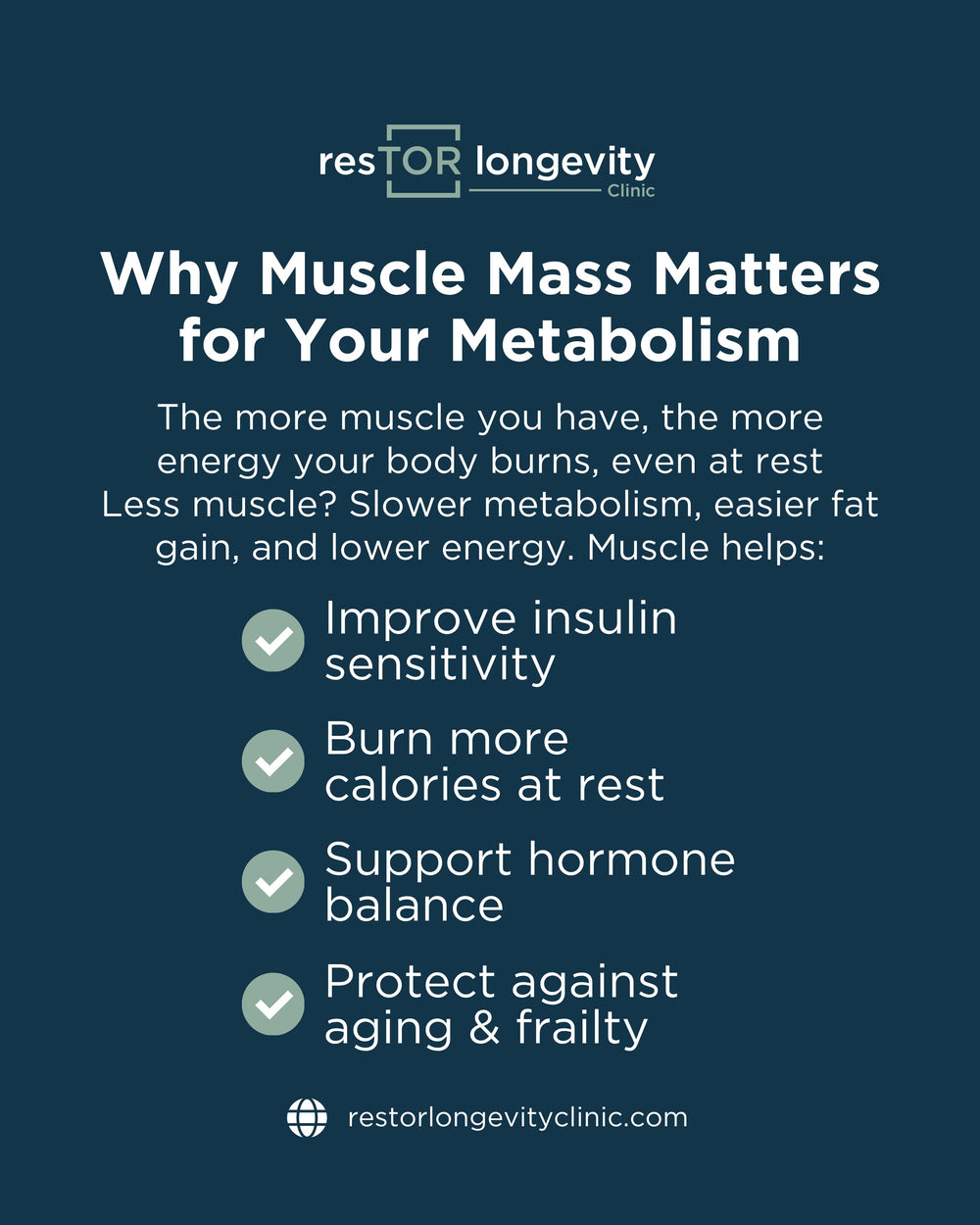 Muscle Mass and Metabolic Health | resTOR Longevity, Houston