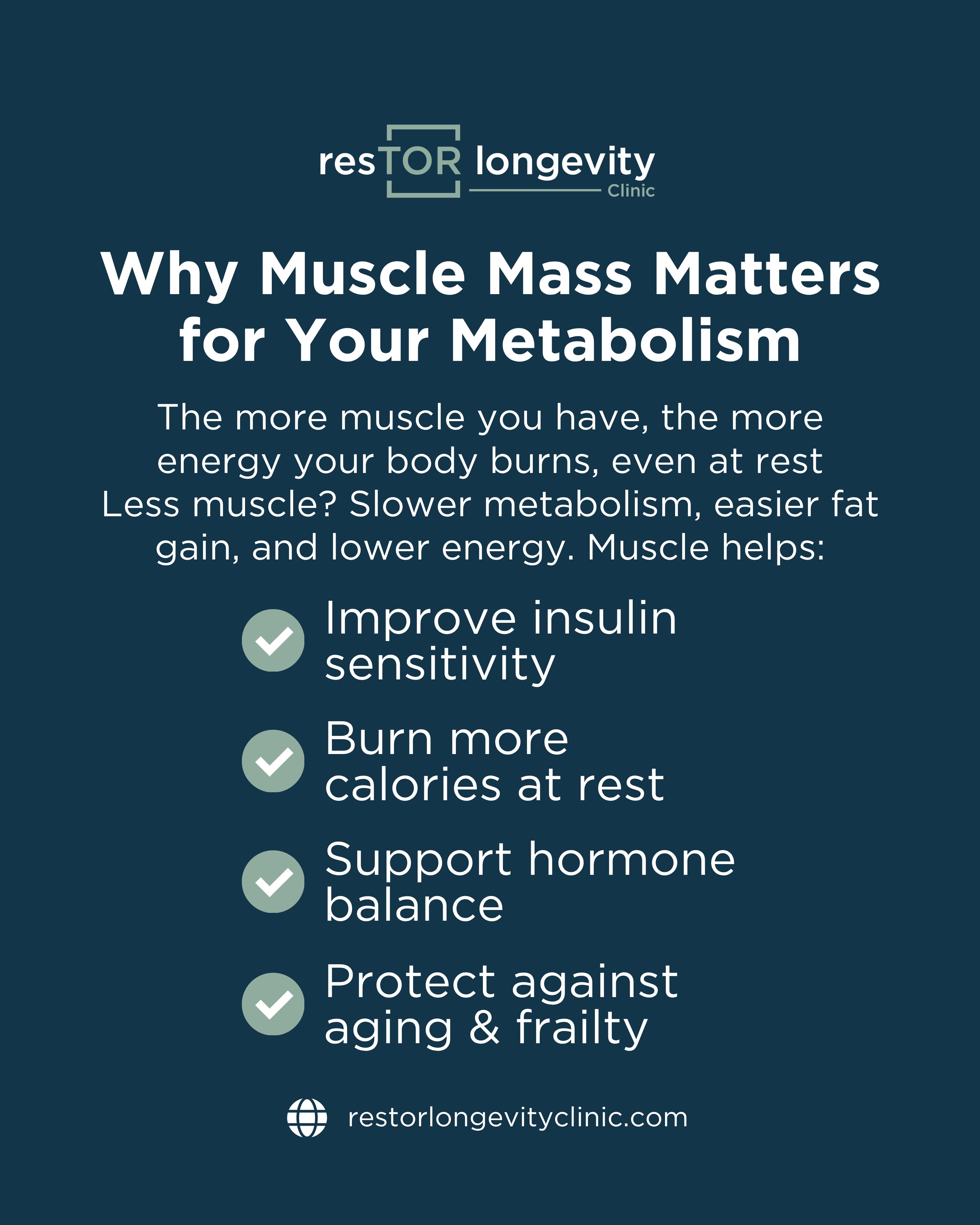 Muscle Mass and Metabolic Health | resTOR Longevity, Houston