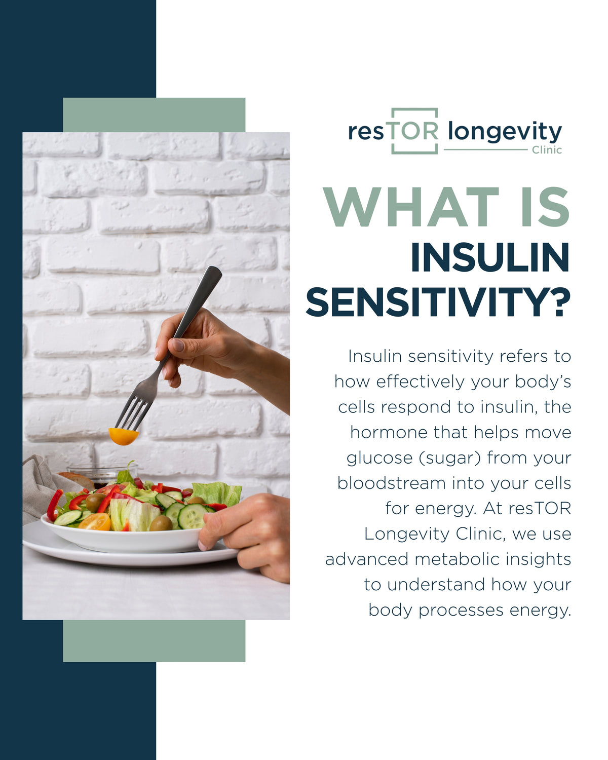 resTOR Longevity graphic, What Is Insulin Sensitivity, showing a fork and a plate of fresh salad against a white brick wall, Houston TX