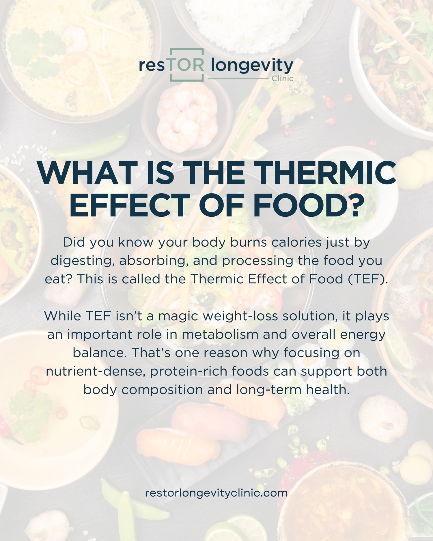 Thermic Effect of Food and Metabolism | resTOR Longevity, Houston