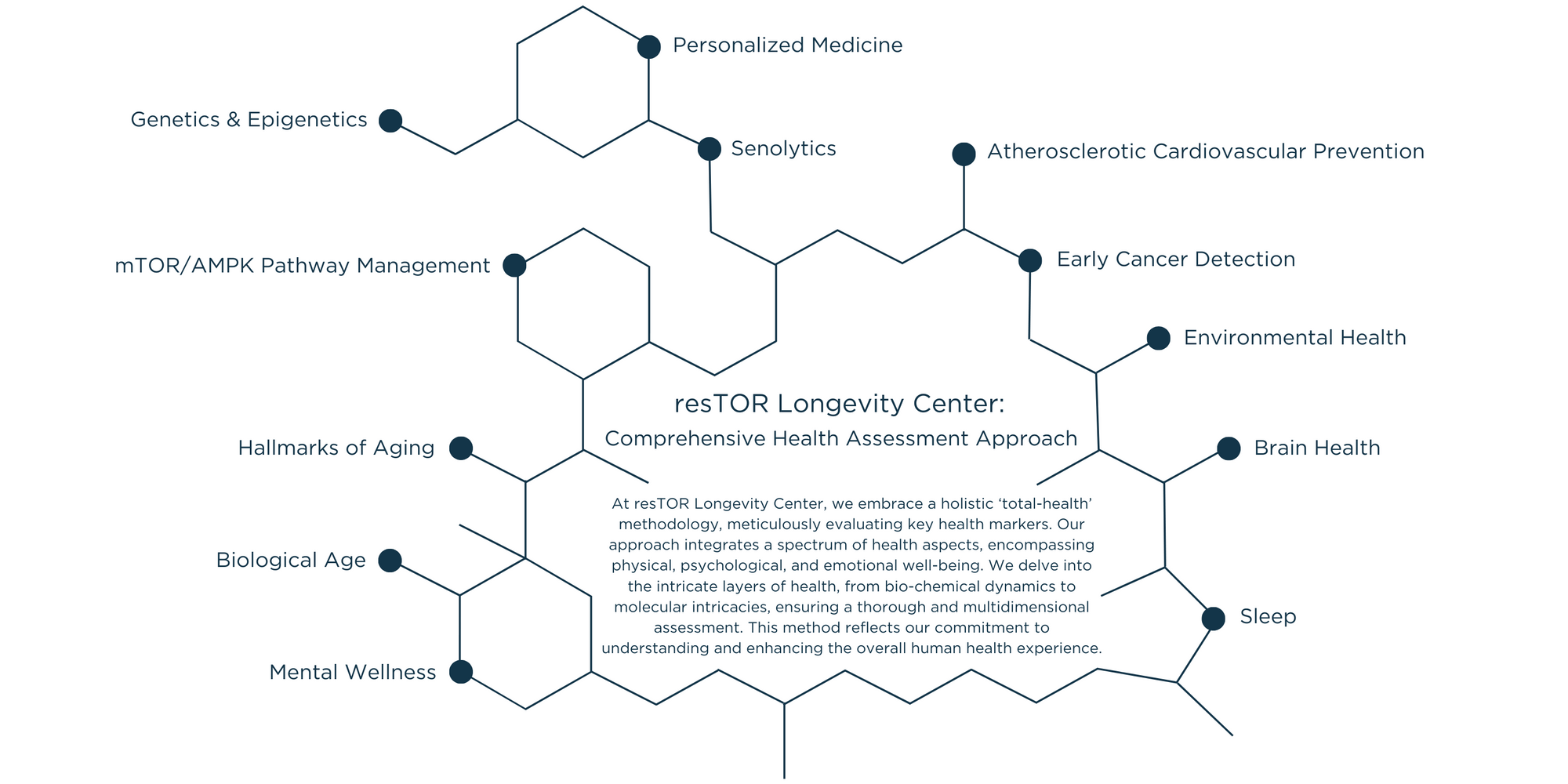 Restor Longevity Clinic